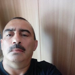 , 52 , 