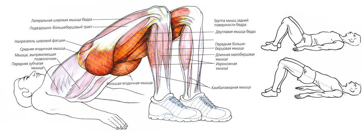 Лежит латерально