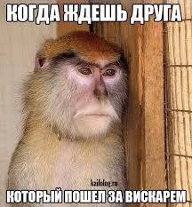 ***Victoria Viktorovna*** - 13  2019  09:05