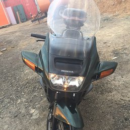 ���� ����, �������, 41 ��� - ��������� 13 �������� 2019