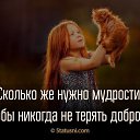 ���� Kanat, ������, 35 ��� - ��������� 8 ���� 2019 � ������ ���� ����������