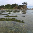 ���� �������, �����������, 53 ���� - ��������� 19 ���� 2019 � ������ ���� ����������