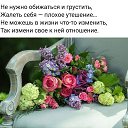 ���� ���������, ������ - ��������� 11 ���� 2019 � ������ ���� ����������