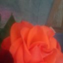 ���� ���������, �����, 76 ��� - ��������� 13 ���� 2019 � ������ ���� ����������