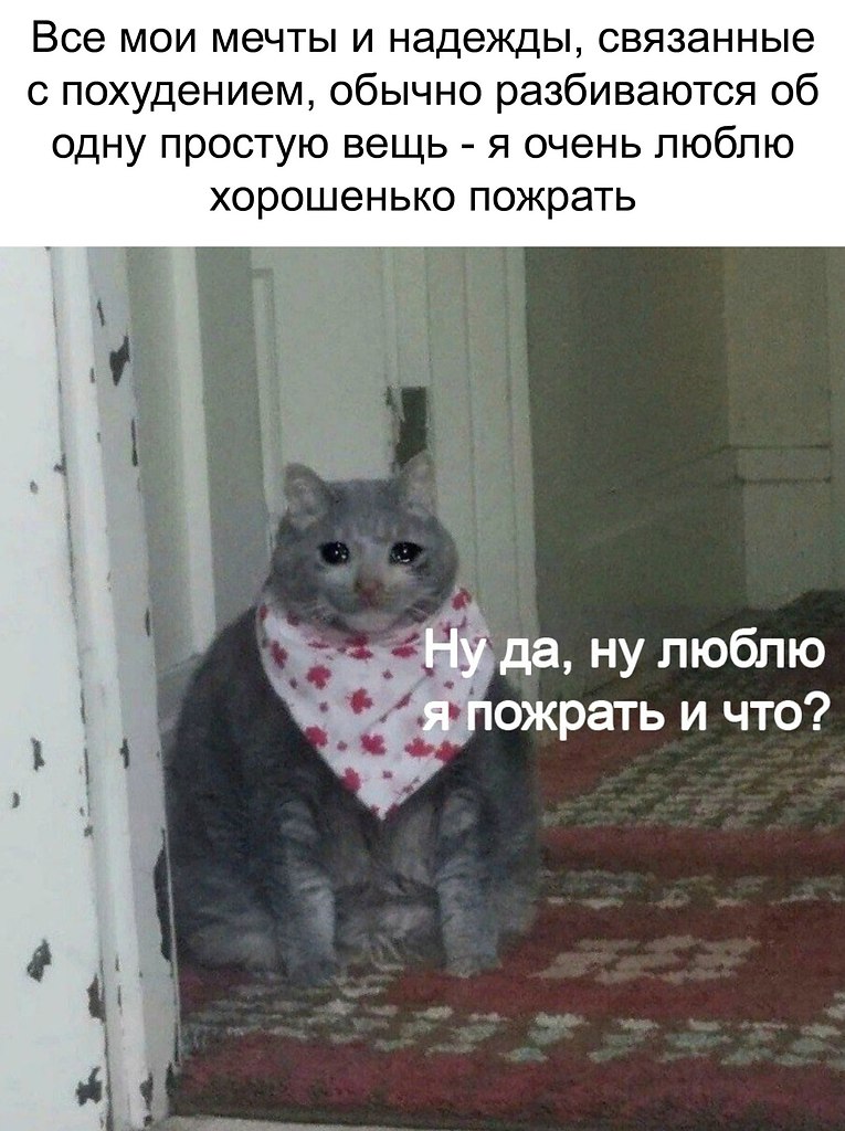    - 4  2019  03:52