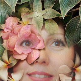 �������, ����������, 48 ���