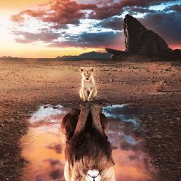 ���� �����, ������, 28 ��� - ��������� 11 ������� 2019