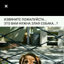 ���� �����, ����������� - ��������� 18 ������� 2019 � ������ ���� ����������