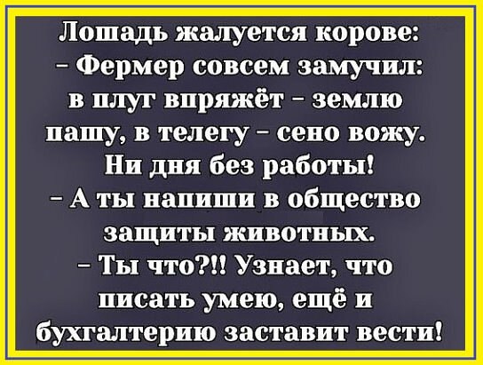 ☆ ☆ - 1  2019  02:13