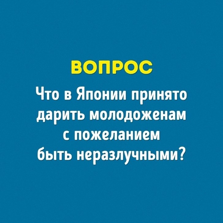  ,  ,   ,     - 10