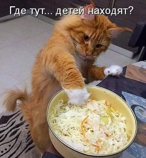   ,    . - 27  2019  19:59