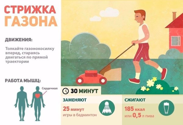 Сколько калорий можно сжечь во время работы по дому? Если начистоту: уборку и другие бытовые хлопоты ... - 4