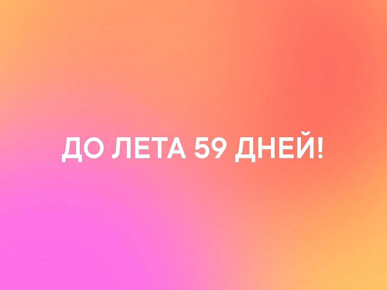   - 3  2019  03:51