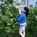 ���� ����, �����������, 49 ��� - ��������� 5 ���� 2019 � ������ ���� ����������