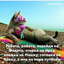 ���� �������, ����, 70 ��� - ��������� 23 ���� 2019
