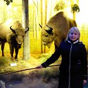  Evgenia,  -  26  2019    