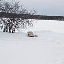  ,  -  13  2019     