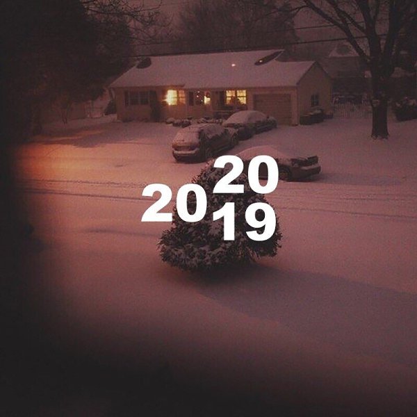 2019 ,   ,    . 2020 -        .