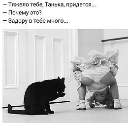 ***Victoria Viktorovna*** - 9  2019  09:22