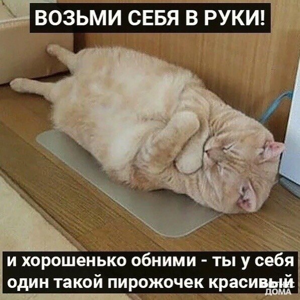 o���� ���� �o������� �a ���o���� ���� - 6