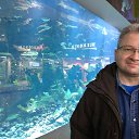 ���� ��������, �����������, 47 ��� - ��������� 28 ���� 2019 � ������ ���� ����������