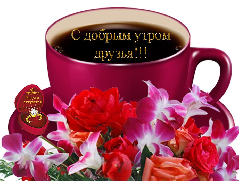  - 17  2019  08:11