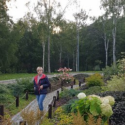 ���� �������, ����-���������, 54 ���� - ��������� 17 �������� 2019