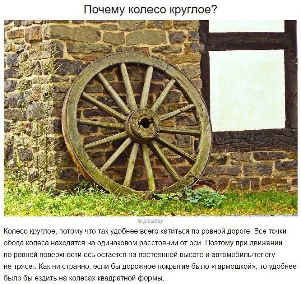 Ответы на частые детские «почемучки». Будет полезно вспомнить и мамам - 10