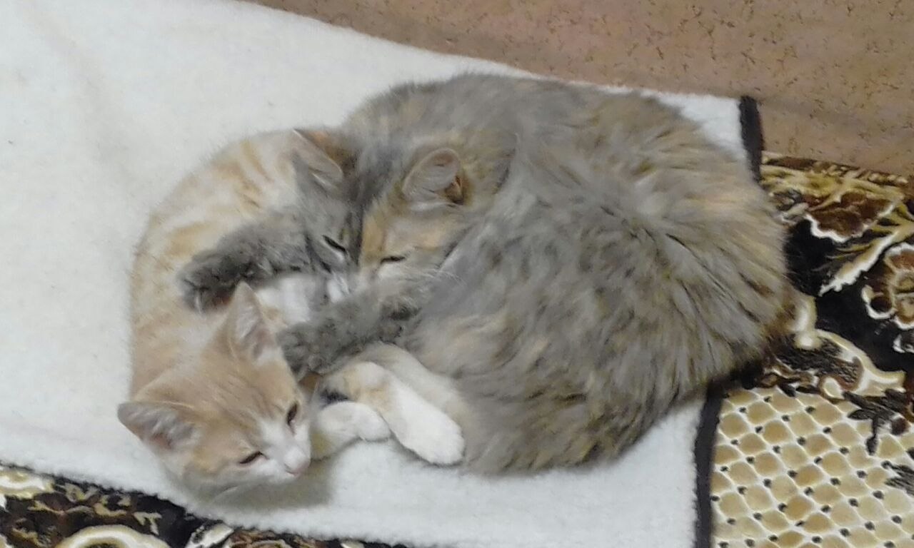 #_.     .  , ,    , ... - 3