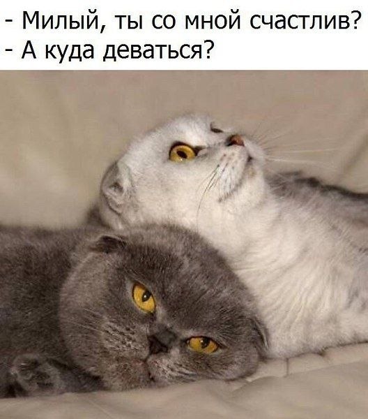 ₪╬═►  ||  ||  ◄═╬₪ - 8  2019  08:16