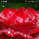 ���� G, ������� �����, 57 ��� - ��������� 28 �������� 2019 � ������ ���� ����������