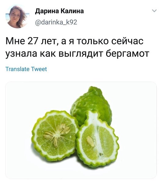 �� ���� ������ ������