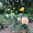 ���� �������, �����-���������, 64 ���� - ��������� 6 ���� 2019 � ������ ���� ����������