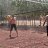 ���� Andranik, ������, 43 ���� - ��������� 8 ������ 2019