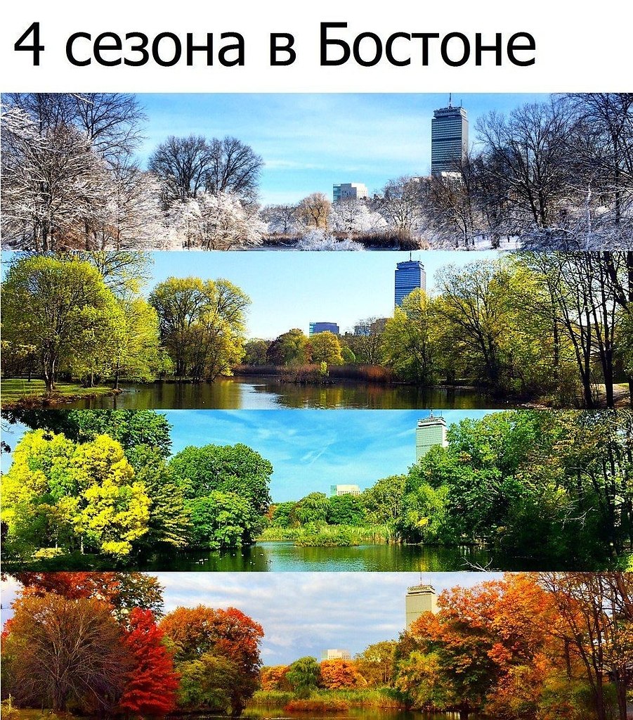  - 6  2019  18:59