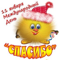 ���� ������, ������, 51 ��� - ��������� 21 ������� 2019