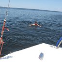 ���� Nik, ��������, 42 ���� - ��������� 15 ������ 2019 � ������ ���� ����������