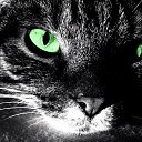 ���� �����, ����������, 54 ���� - ��������� 21 ������� 2019 � ������ ���� ����������