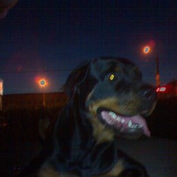 ���, ����������