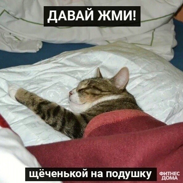 o���� ���� �o������� �a ���o���� ���� - 5