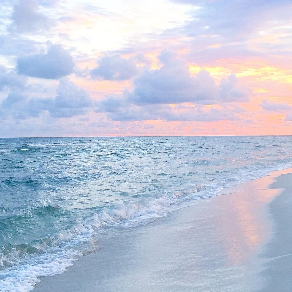 Florida, USA - 3