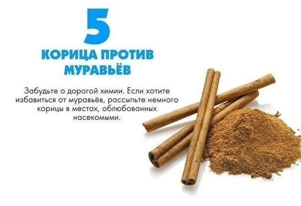   - 5