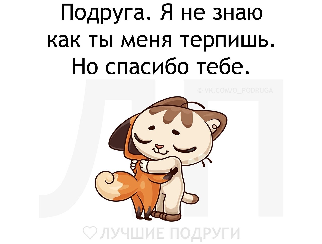   - 6  2019  19:03