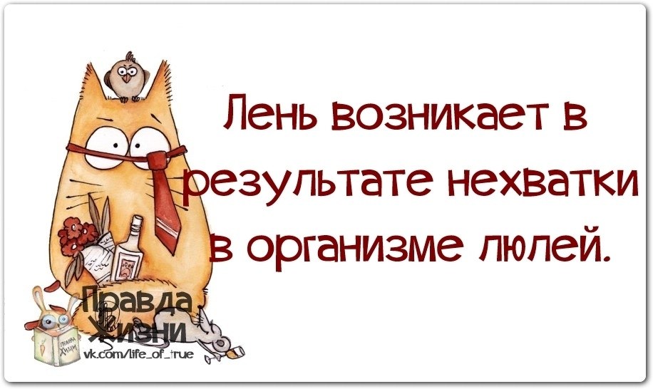   - 19  2019  03:33