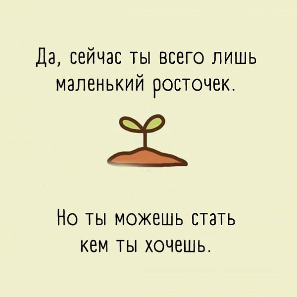 ,   : - 2