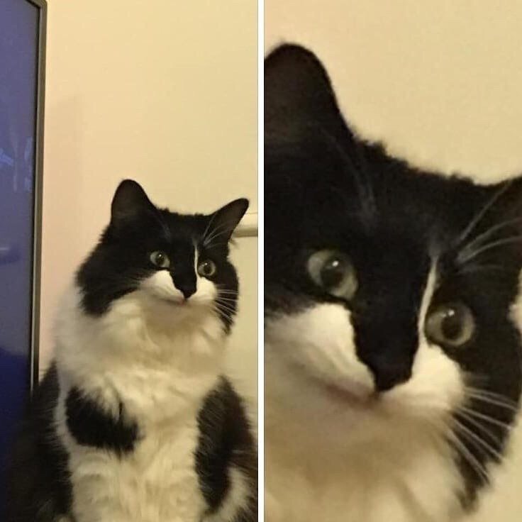  :        