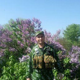 ��������, �����, 48 ���