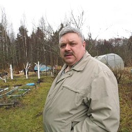 ��������, �����-���������, 64 ����