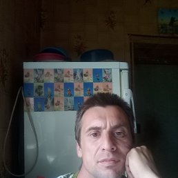 ����, ����, 45 ���