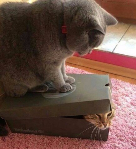   ? ,  ?!
